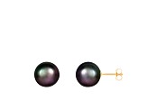 14k Yellow Gold 10-11mm Black Freshwater Pearl Stud Earrings