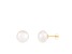 14k Yellow Gold 10-11mm White Freshwater Pearl Stud Earrings