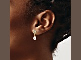 14K Yellow Gold 7x5mm Teardrop Freshwater Cultured Pearl 0.01ct Heart Diamond Dangle Earrings