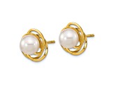 14K Yellow Gold 6-7mm Round White Saltwater Akoya Pearl Post Earrings