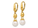 14K Yellow Gold Freshwater Cultured Pearl and Bead Leverback Dangle Earrings