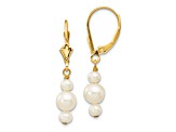 14K Yellow Gold 3-3.5mm and 5-5.5mm Semi-Round Freshwater Cultured Pearl Leverback Dangle Earrings