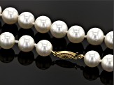 Cultured South Sea Pearl 14k Yellow Gold Necklace 10-12mm