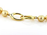 Golden Cultured South Sea Pearl, 18k Yellow Gold Over Sterling Silver 20 Inch Necklace 8-10mm