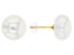 White Cultured Freshwater Pearl 14k Yellow Gold Stud Earrings