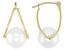 White Cultured Freshwater Pearl 14k Yellow Gold Earrings