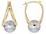 Platinum Cultured Freshwater Pearl 14k Yellow Gold Earrings
