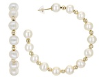 White Cultured Freshwater Pearl 14k Yellow Gold Hoop Earrings