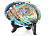 Polished Abalone Shell With Wooden Stand
