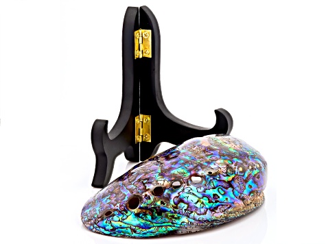 Polished Abalone Shell With Wooden Stand