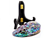 Polished Abalone Shell With Wooden Stand