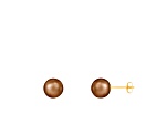 Mocha Cultured Freshwater Pearl 14k Yellow Gold Stud Earrings