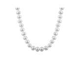 7-7.5mm White Cultured Freshwater Pearl 14k White Gold Strand Necklace 18 inches