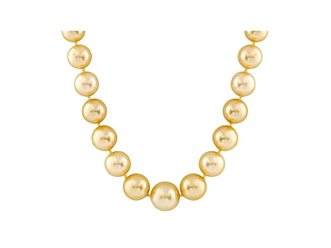 10-13mm Golden Cultured South Sea Pearl 14k Yellow Gold Strand Necklace