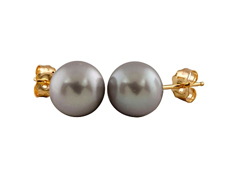 7-7.5mm Silver Cultured Freshwater Pearl 14k Yellow Gold Stud Earrings