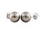 7-7.5mm Silver Cultured Freshwater Pearl 14k White Gold Stud Earrings