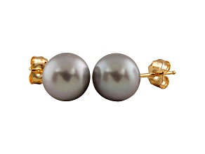 Platinum Cultured Freshwater Pearl 14k Yellow Gold Stud Earrings