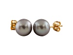 9-9.5mm Silver Cultured Freshwater Pearl 14k Yellow Gold Stud Earrings