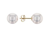 14kt Yellow Gold 8-9mm Cultured Japanese Akoya Pearl Stud Earrings