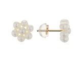 14k Yellow Gold Childrens Cultured Freshwater Pearl Flower Earrings
