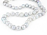 Platinum Cultured Japanese Akoya Pearl Rhodium Over Sterling Silver 18 Inch Strand Necklace
