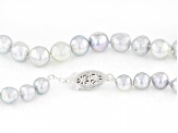 Platinum Cultured Japanese Akoya Pearl Rhodium Over Sterling Silver 18 Inch Strand Necklace