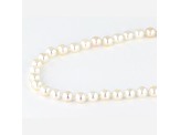 White Cultured Japanese Akoya Pearls 14K Yellow Gold 18 Inch Strand Necklace 5-5.5mm