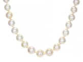 White Cultured South Sea Pearl 14k Yellow Gold 18 Inch Necklace