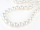 White Cultured South Sea Pearl 14k Yellow Gold 18 Inch Necklace