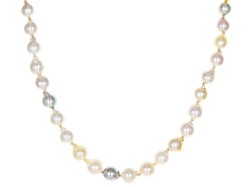Picture of Multi-Color Cultured Japanese Akoya Pearl Rhodium Over Sterling Silver 18 Inch Necklace