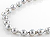 Platinum Cultured Japanese Akoya Pearl Rhodium Over Sterling Silver 18 Inch Necklace