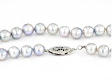 Platinum Cultured Japanese Akoya Pearl Rhodium Over Sterling Silver 18 Inch Necklace