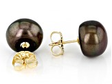 Black Cultured Freshwater Pearl 14k Yellow Gold Stud Earrings