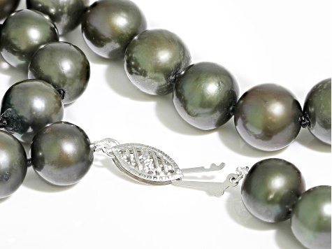 Black Cultured Freshwater Pearl Rhodium Over 14k White Gold 18 Inch Necklace