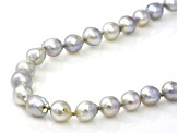 Platinum Cultured Japanese Akoya Pearl Rhodium Over Sterling Silver Necklace