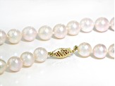 White Cultured Japanese Akoya Pearl 14k Yellow Gold Necklace