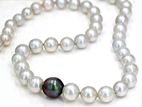 Cultured Japanese Akoya and Cultured Tahitian Pearl Rhodium Over Sterling Necklace