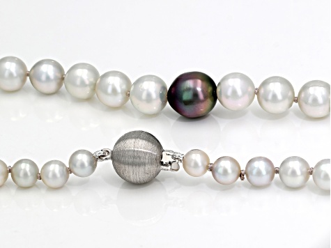 Cultured Japanese Akoya and Cultured Tahitian Pearl Rhodium Over Sterling Necklace