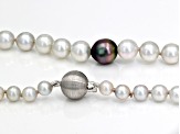 Cultured Japanese Akoya and Cultured Tahitian Pearl Rhodium Over Sterling Necklace