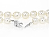 White Cultured Japanese Akoya Pearl Rhodium Over Sterling Silver Necklace