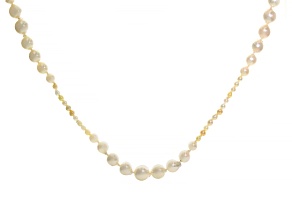 Multicolor Cultured Japanese Akoya Pearl Rhodium Over Sterling Silver Necklace
