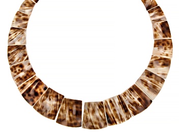 Picture of South Sea Tiger Cowrie Mother-of-Pearl Rhodium Over Sterling Silver Necklace