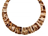 South Sea Tiger Cowrie Mother-of-Pearl Rhodium Over Sterling Silver Necklace