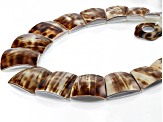 South Sea Tiger Cowrie Mother-of-Pearl Rhodium Over Sterling Silver Necklace