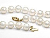 White Cultured Japanese Akoya Pearl 14k Gold Strand Necklace