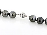 Black Cultured Tahitian Pearl Rhodium Over 14k White Gold 18 Inch Strand Necklace