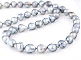 Platinum Cultured Japanese Akoya Pearl Rhodium Over Sterling Silver Necklace