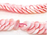 Pink Conch Shell Disc Collar Necklace