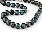 Cultured Gambier Tahitian Pearl Rhodium Over Sterling Silver 18" Necklace