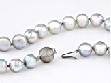 Platinum Cultured Japanese Akoya Pearl Rhodium Over Sterling Silver Necklace